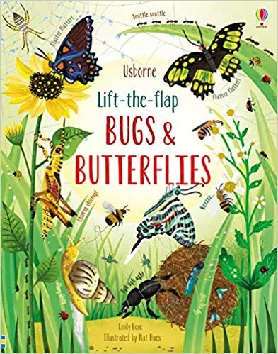 Lift-the-Flap: Bugs and Butterflies