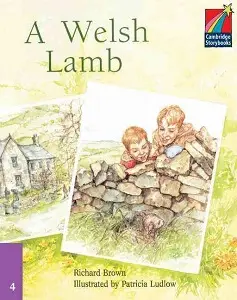 CSB 4 A Welsh Lamb