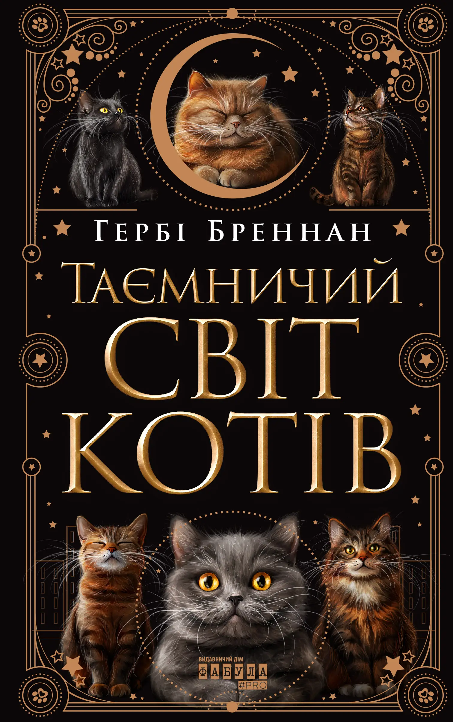 Таємничий світ котів