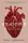 The Anatomy Duology Book1: Anatomy: A Love Story [Hardcover] - 1