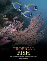 Tropical Fish - 1