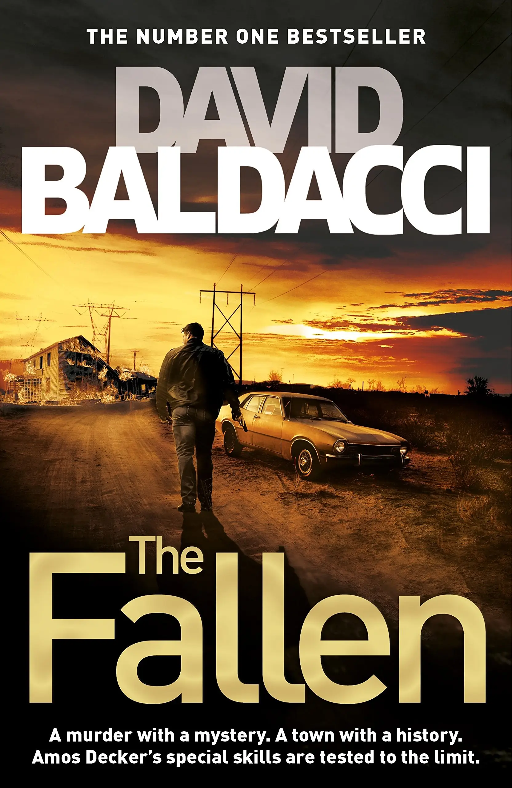 Amos Decker Book4: The Fallen