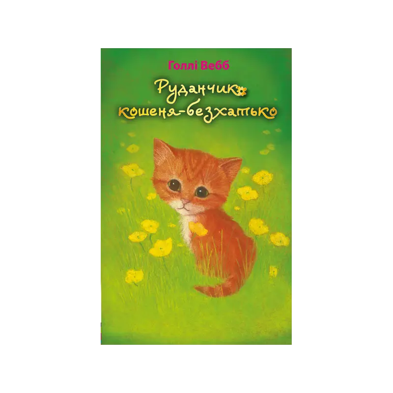 Руданчик - кошеня-безхатько