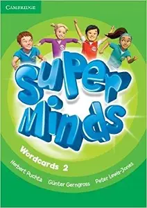 Super Minds 2 Wordcards (Pack of 81)