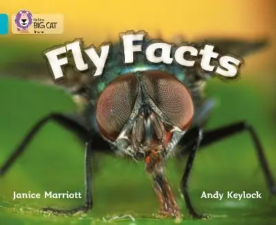Big Cat 7 Fly Facts. Workbook