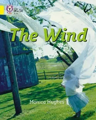 Big Cat 3 The Wind. Workbook