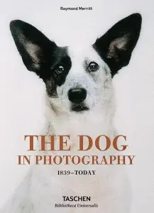 The Dog in Photography 1839-Today