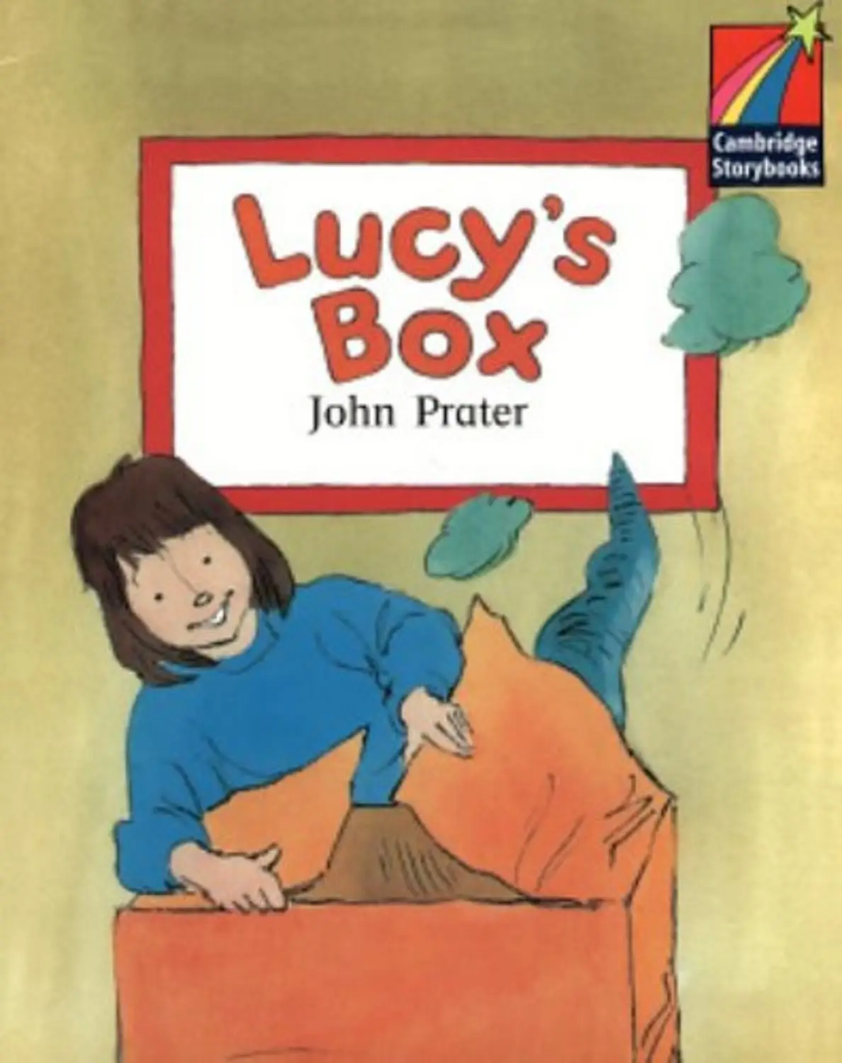 CSB 2 Lucy's Box