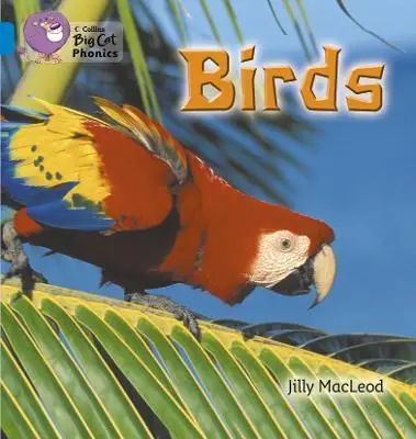 Big Cat Phonics 4 Birds