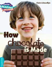 CRA How Chocolate is Made Turquoise Band
