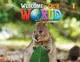 Welcome to Our World 2nd edition 1 Flashcards Set (Pack of 85) - 1