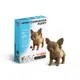 Картонний конструктор "Cartonic 3D Puzzle CHIHUAHUA PUPPY" - 1