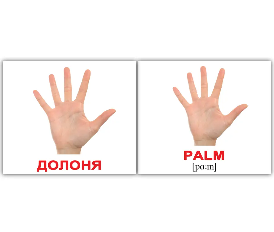 Міні-40: Людина Human (укр-англ)