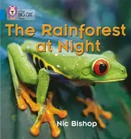 Big Cat Phonics 4 The Rainforest at Night. - 1