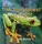 Big Cat Phonics 4 The Rainforest at Night. - 1