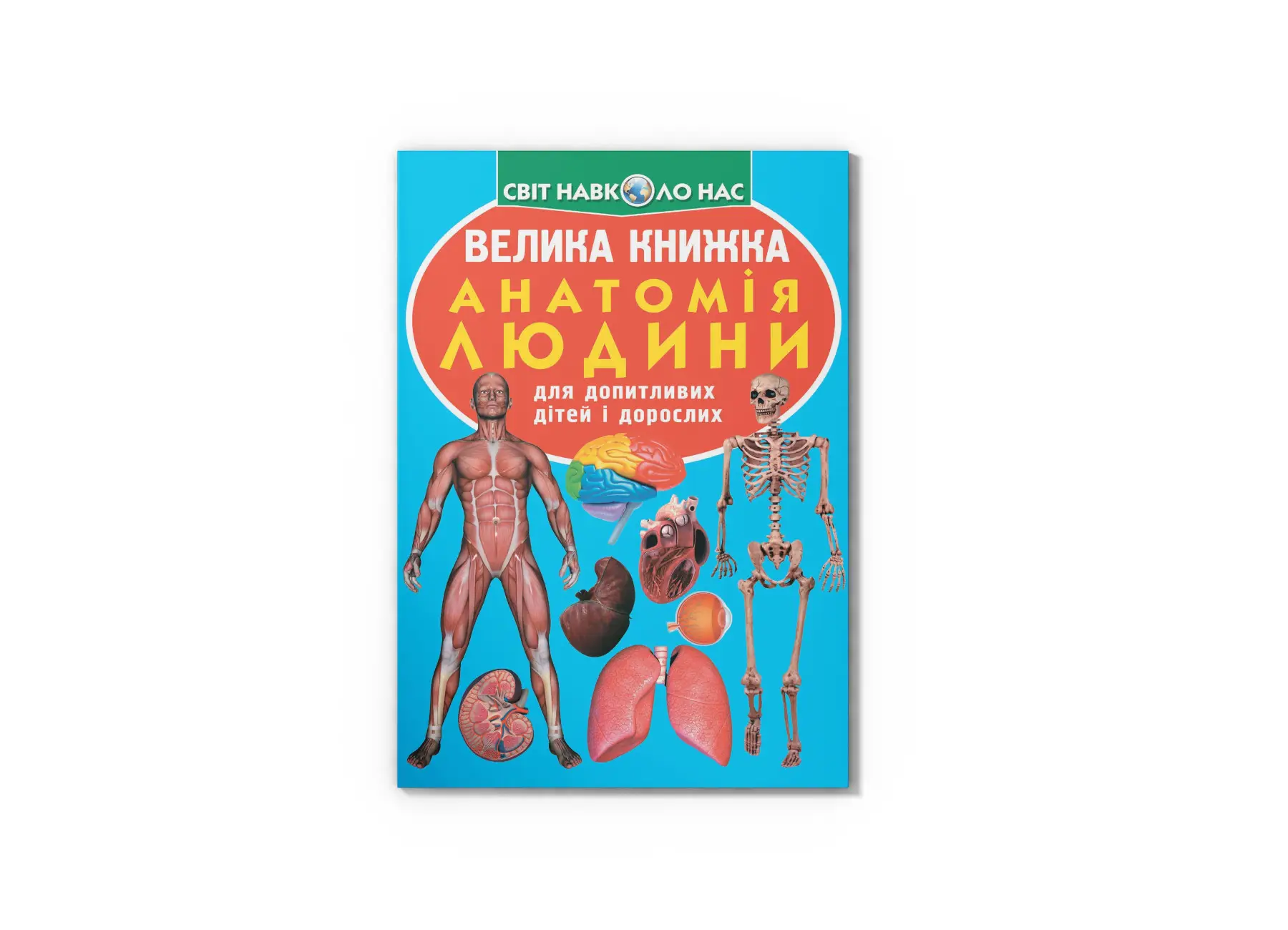 Велика книжка. Анатомія людини