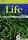 Life  Beginner TB with Audio CD - 1