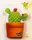Bloomnotes Cactus - 1