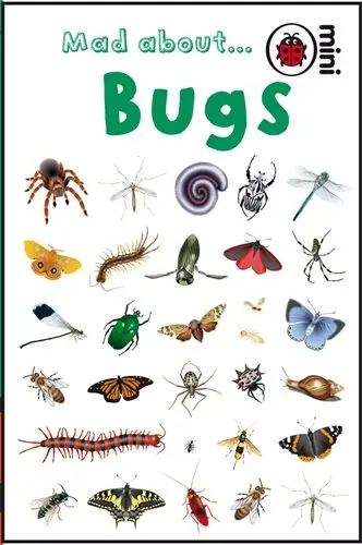 Ladybird Mini: Mad About Bugs