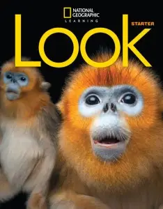 Look Starter SB with the Spark platform British English
