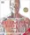 The Human Body Book - 1