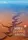World of Grammar and Writing 2nd edition 2 - 1