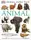 Ultimate Sticker Book: Animal - 1