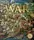 The Definitive Visual History: War - 1