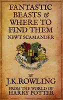 Fantastic Beasts and Where to Find Them - 1