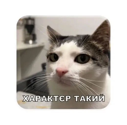 3D-стікер "Характєр такий"