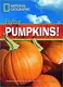 FRL1300 B1 Flying Pumpkins - 1