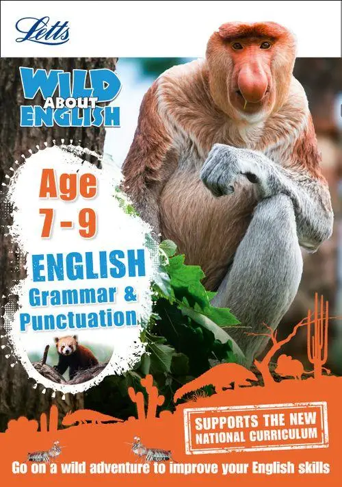 Letts Wild About English: Grammar & Punctuation Age...