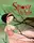 Snow White [Hardcover] - 1