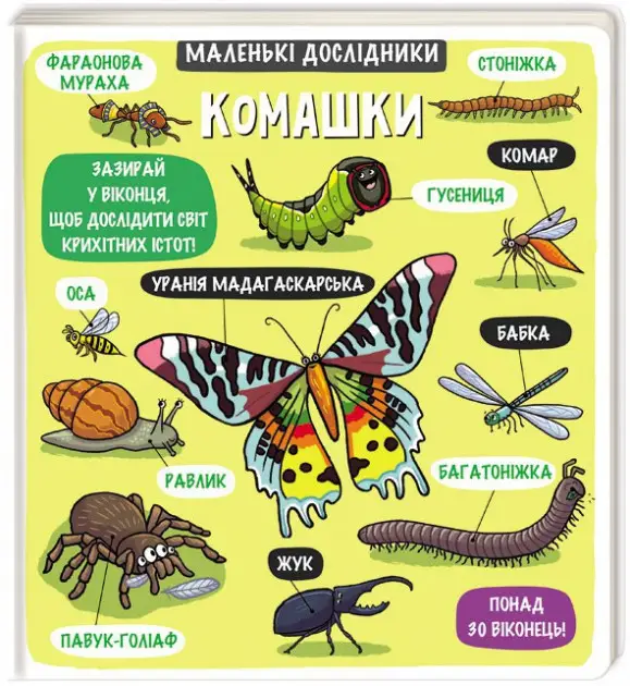 Маленькі дослідники: Комашки