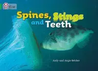 Big Cat  5 Spines, Stings and Teeth. Workbook. - 1