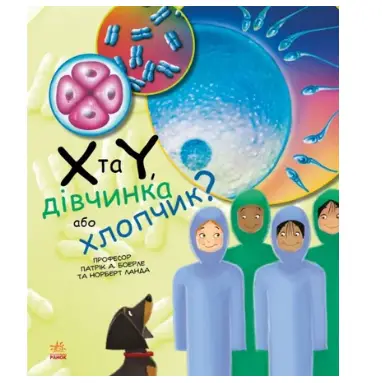 Генетика для дітей: X та Y, дівчинка або хлопчик?