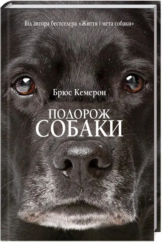 Подорож собаки