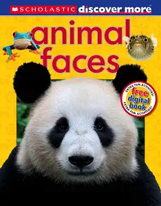 Discover More: Animal Faces