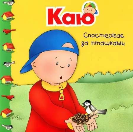 Каю спостерігає за пташками. Мої історії