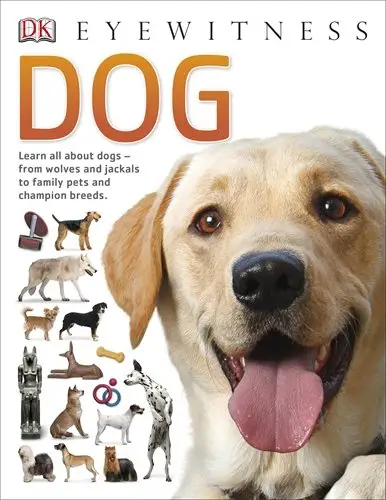 Eyewitness: Dog