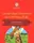 Cambridge Grammar and Writing Skills 4 Learner's Book - 1