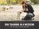 Dog Training in a Weekend [Paperback] - 1