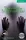 CER 3 Tales of the Supernatural - 1