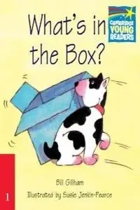 CSB 1 What's in the Box?