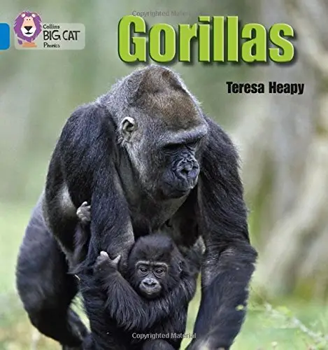 Big Cat Phonics 4 Gorillas