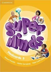 Super Minds 5 Flashcards (Pack of 93)