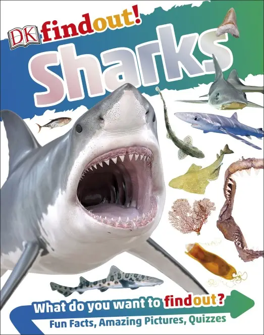 DKfindout!: Sharks