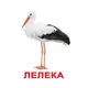 З фактами-20: Птахи - 1