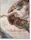 Michelangelo. The Complete Works. Paintings, Sculptures, Architecture - 1