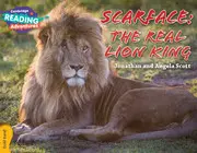 CRA Scarface: The Real Lion King Gold Band